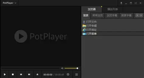 PotPlayer 软件界面截图